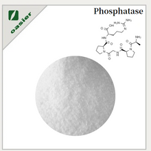 Phosphatase Preparation