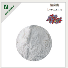 Lysozyme Raw Material